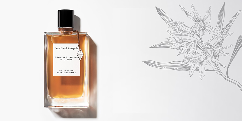 The Best Autumn Winter Fragrances